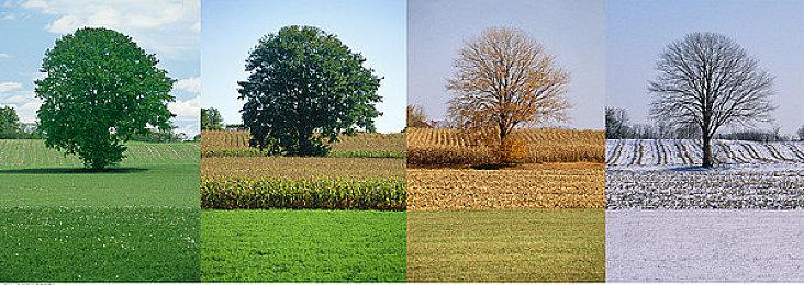 新试玩视频展示《巫火》武器升级系统